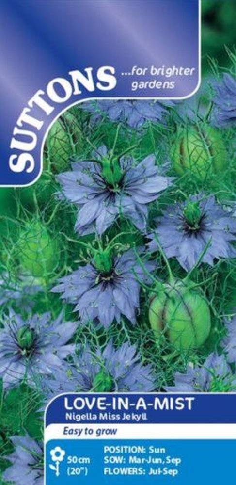 Love-In-A-Mist Nigella Miss Jekyll