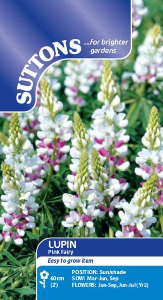 Lupin Pink Fairy