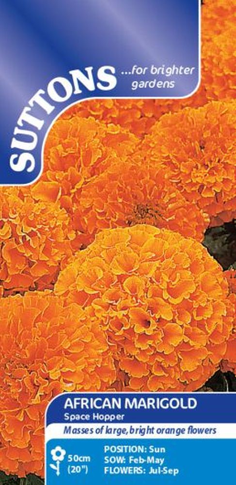 African Marigold Space Hopper