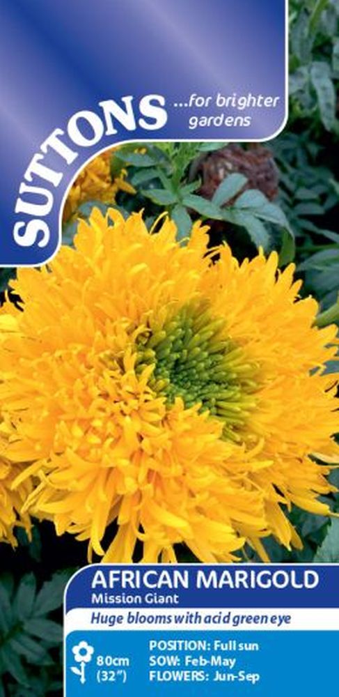 African Marigold Mission Giant
