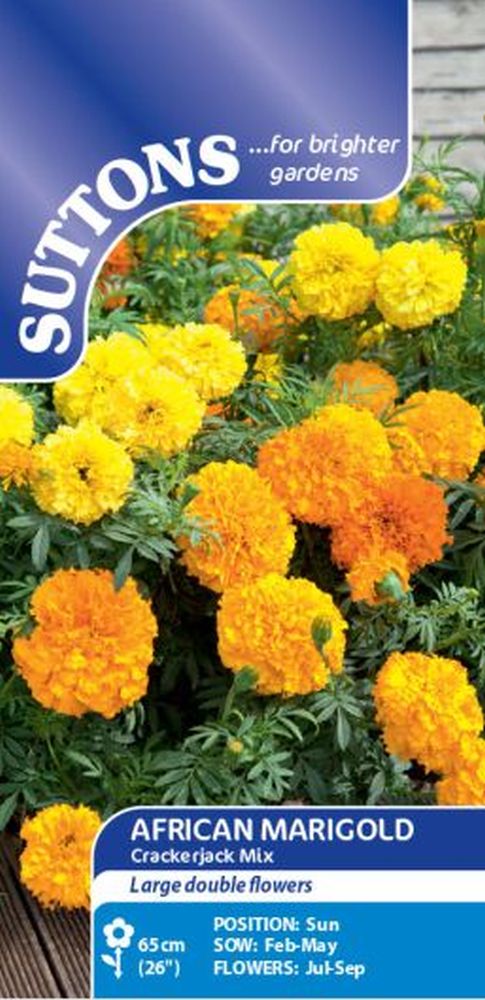 African Marigold Crackerjack Mix