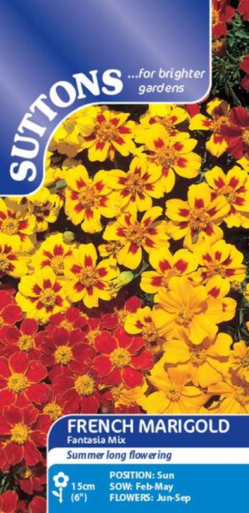 Marigold French Seeds - Fantasia Mix