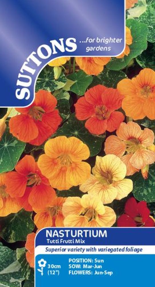 Nasturtium Seeds - Tutti Frutti Mix