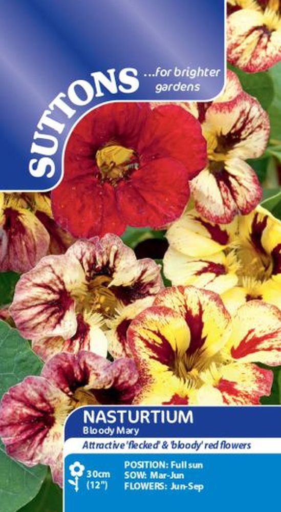 Nasturtium* Bloody Mary