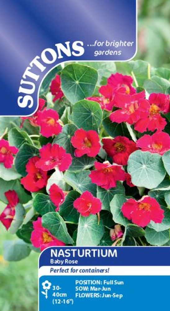 Nasturtium Seeds - Baby Rose
