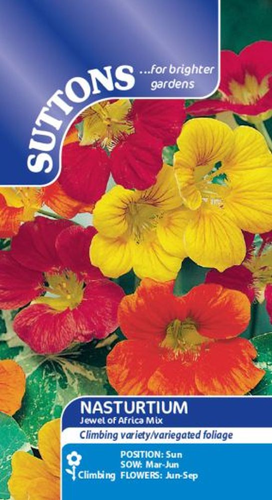 Nasturtium Seeds - Jewel Of Africa Mix
