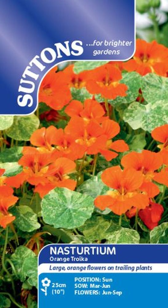 Nasturtium* Troika Orange