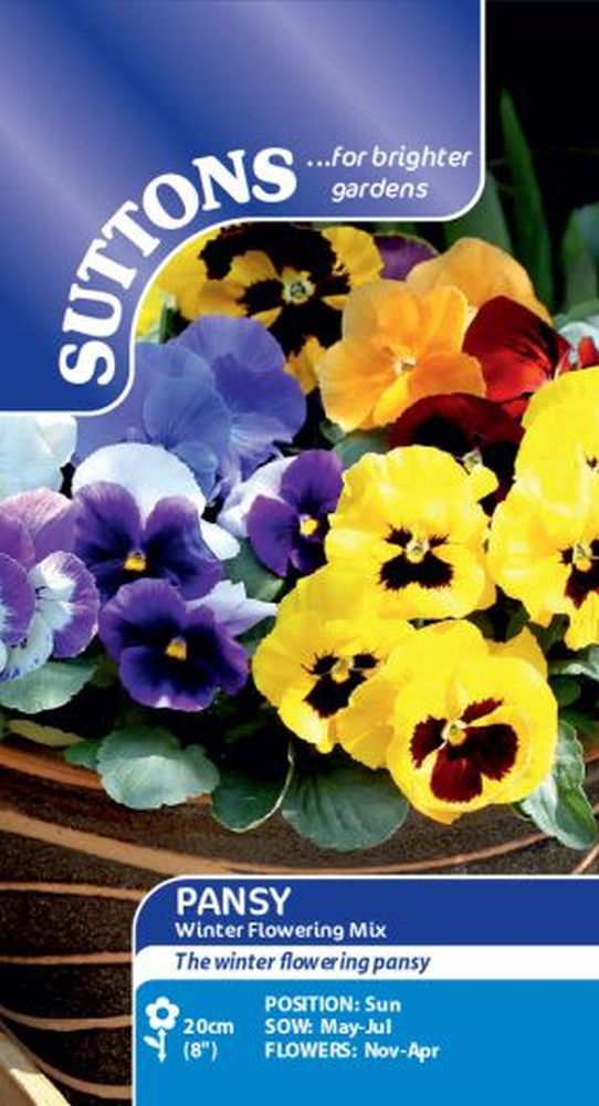 Pansy Seeds - Winter Flowering Mix