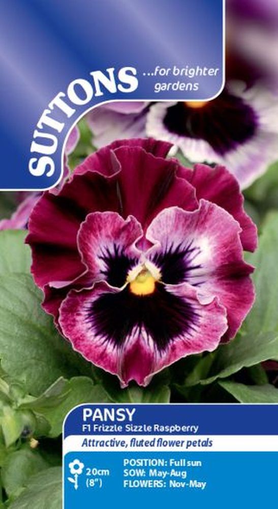 Pansy - F1 Frizzle Sizzle Raspberry