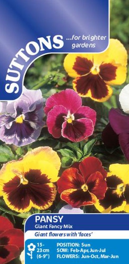 Pansy Giant Fancy Mix
