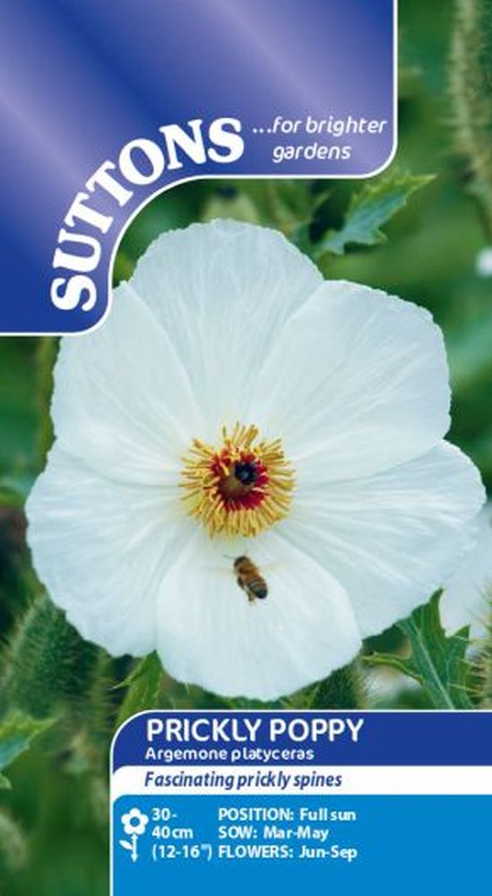 Prickly Poppy Seeds
