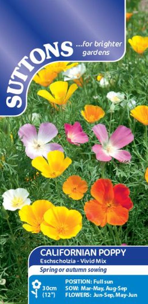 Poppy Californian Seeds - Vivid Mix