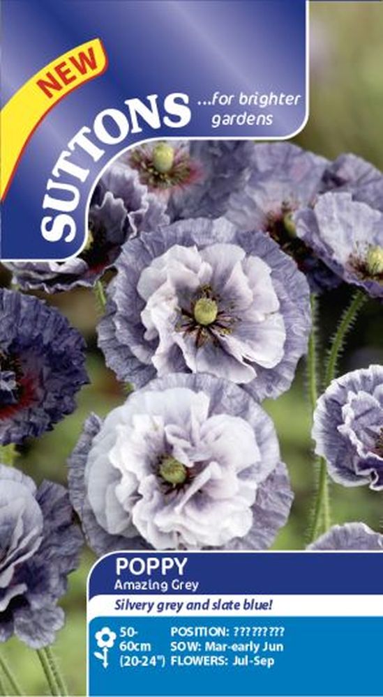 Poppy Seeds - Amazing Grey
