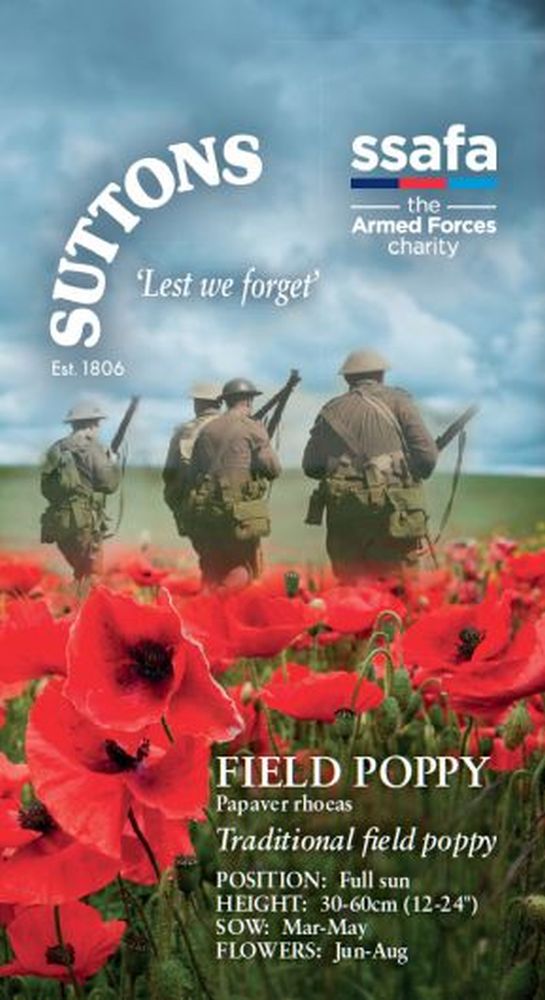 Field Poppy* Papaver Rhoeas (ssafa)