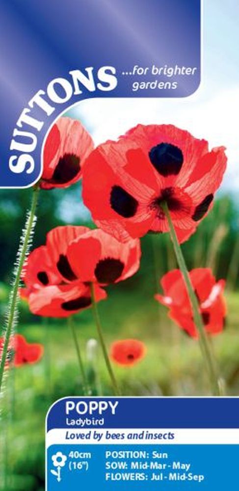Poppy* Ladybird