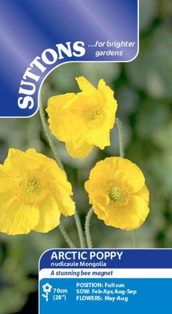 Poppy* Nudicaule Mongolia
