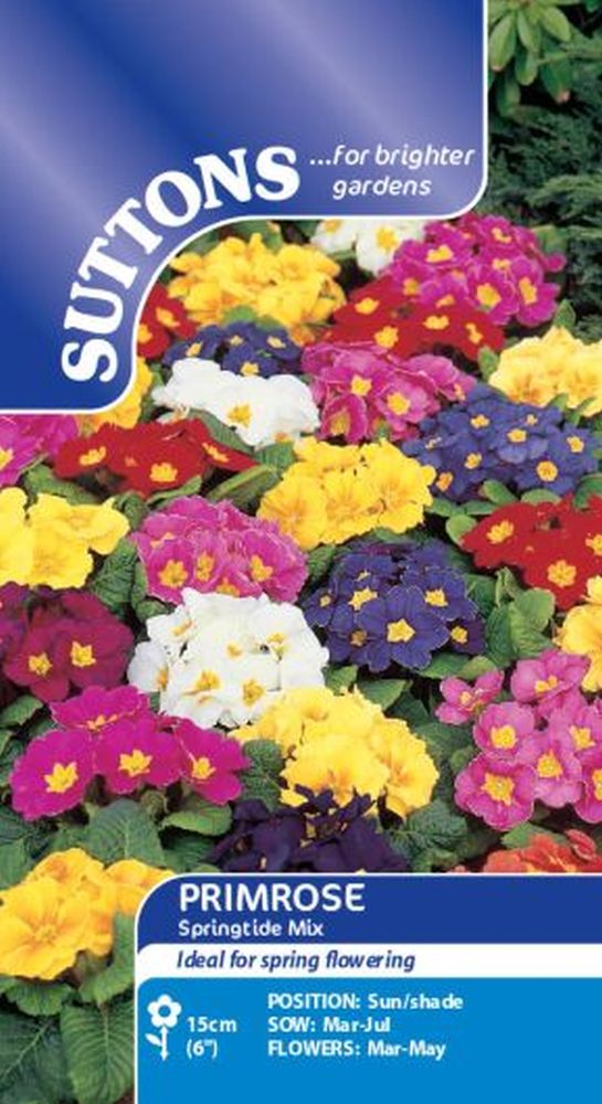 Primrose Springtide Mix