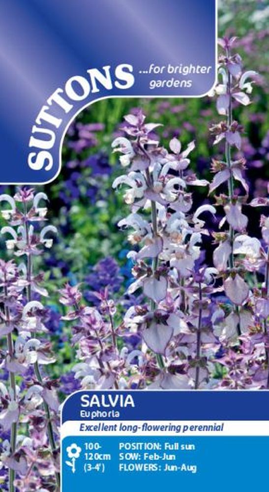 Salvia Sclarea Seeds - Euphoria