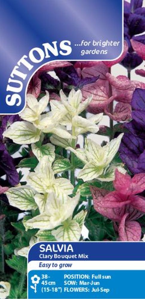 Salvia Bouquet Mix