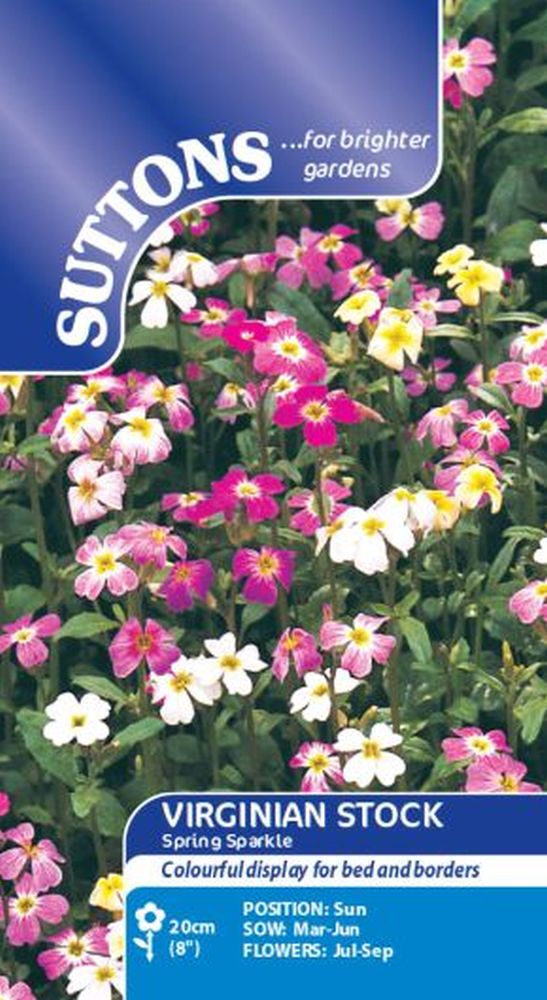 Stock Virginia Spring Sparkle