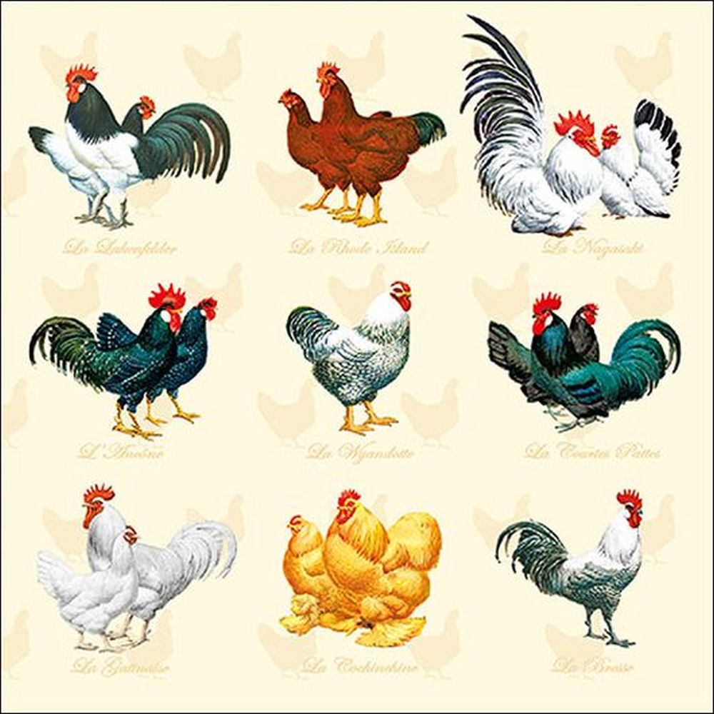 Napkin 33 Wyandotte Cream FSC Mix
