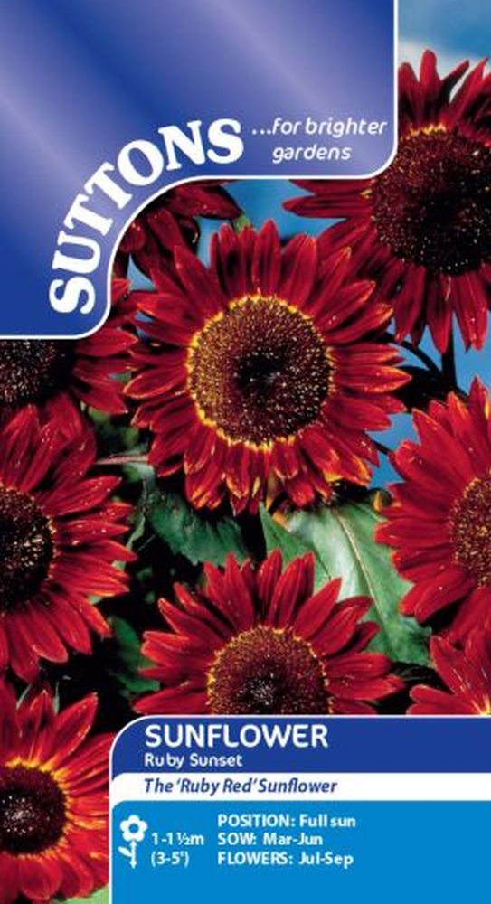 Sunflower Seeds - Ruby Sunset