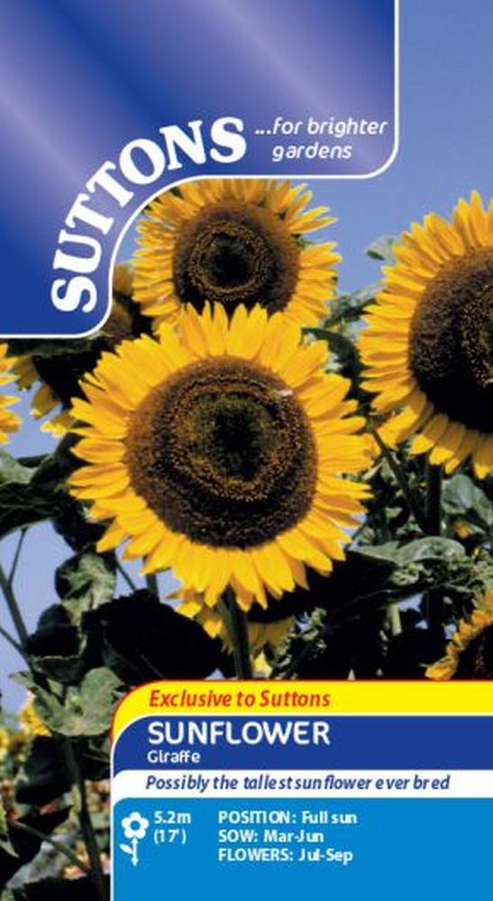 Sunflower Seeds - Giraffe