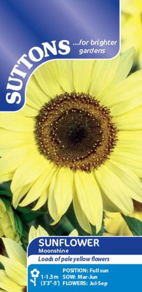 Sunflower Seeds - Moonshine
