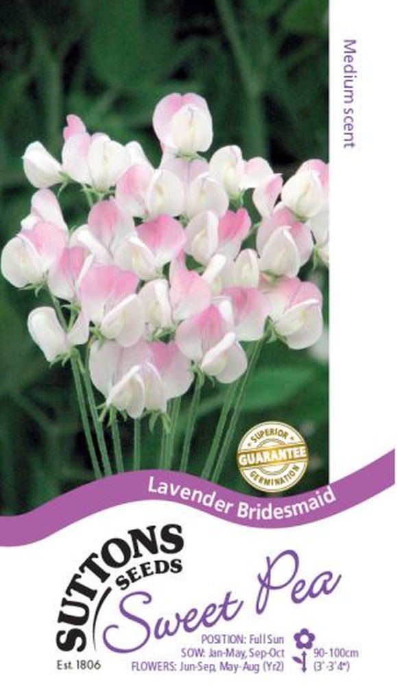 Sweet Pea Seeds - Lavender Bridesmaid