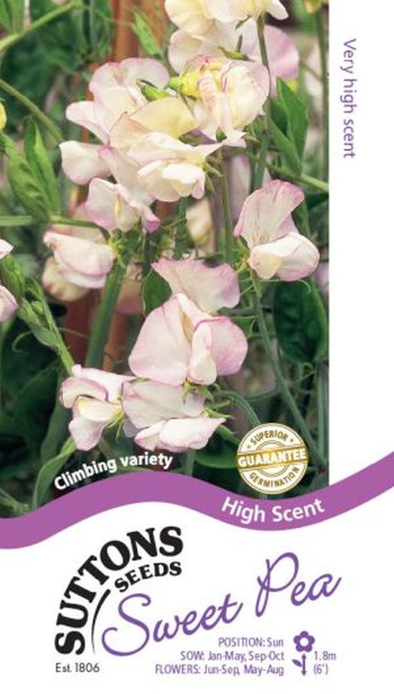 Sweet Pea Seeds - High Scent