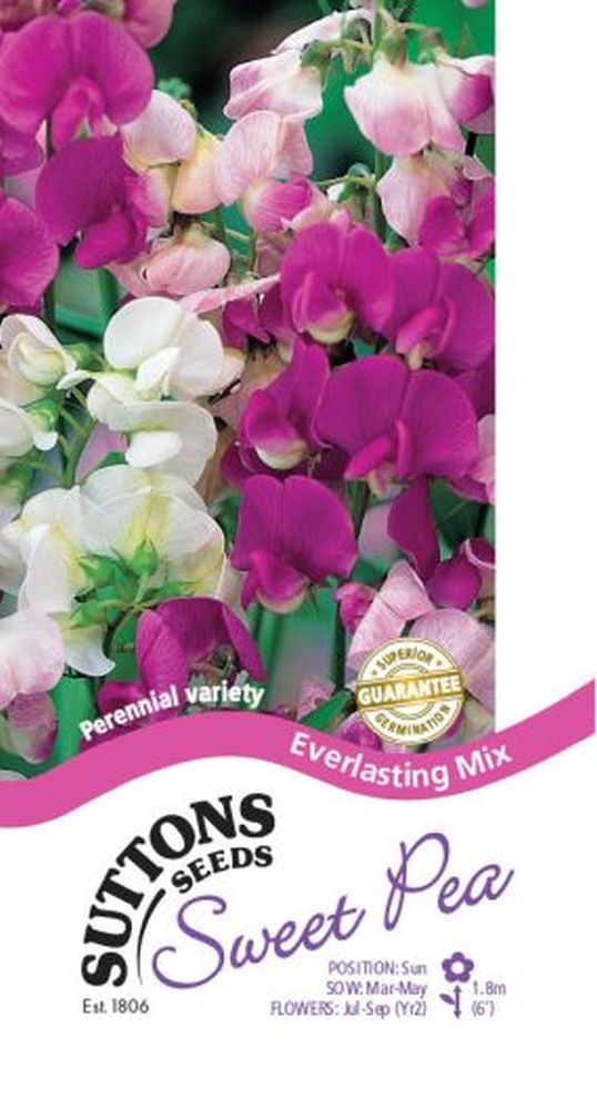 Sweet Pea Seeds - Everlasting Mix