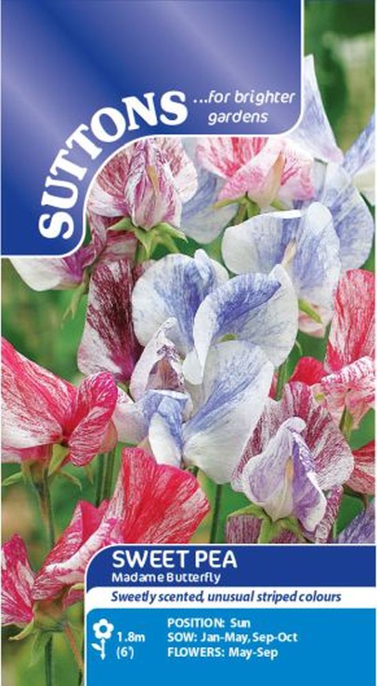 Sweet Pea Seeds - Cupani