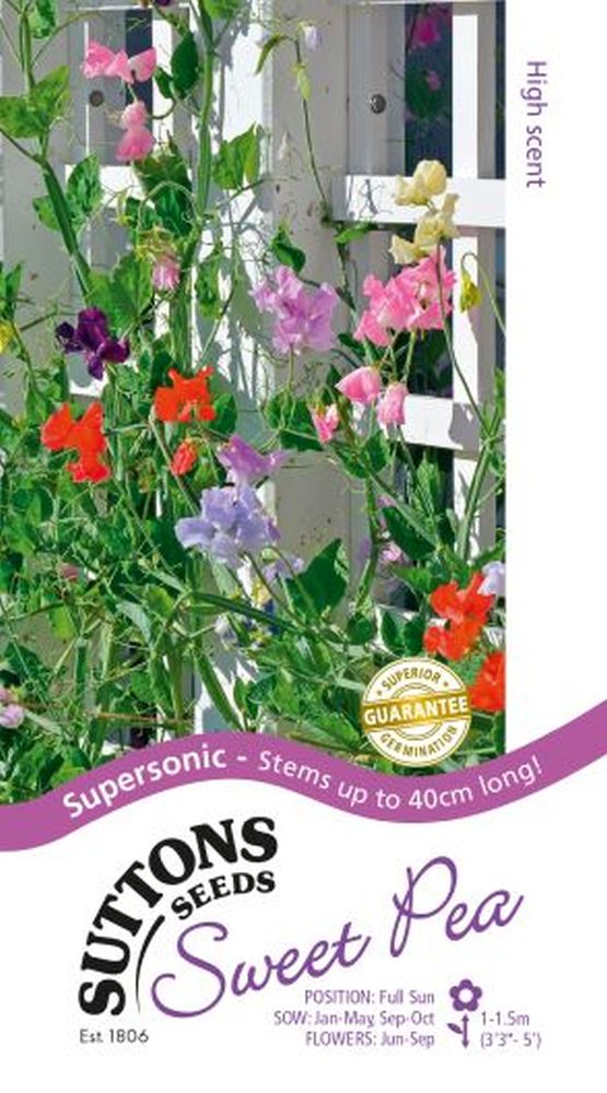 Sweet Pea Seeds - Supersonic
