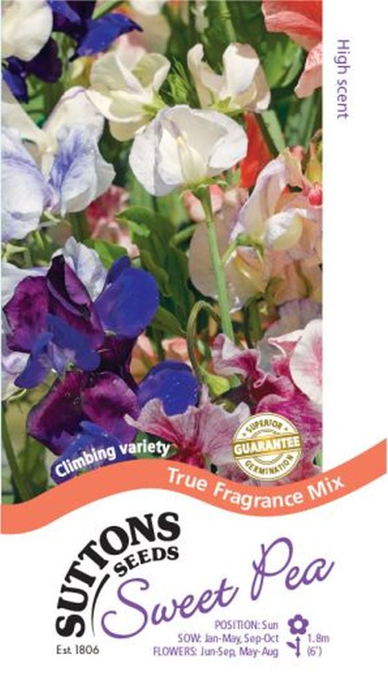 Sweet Pea True Fragrance
