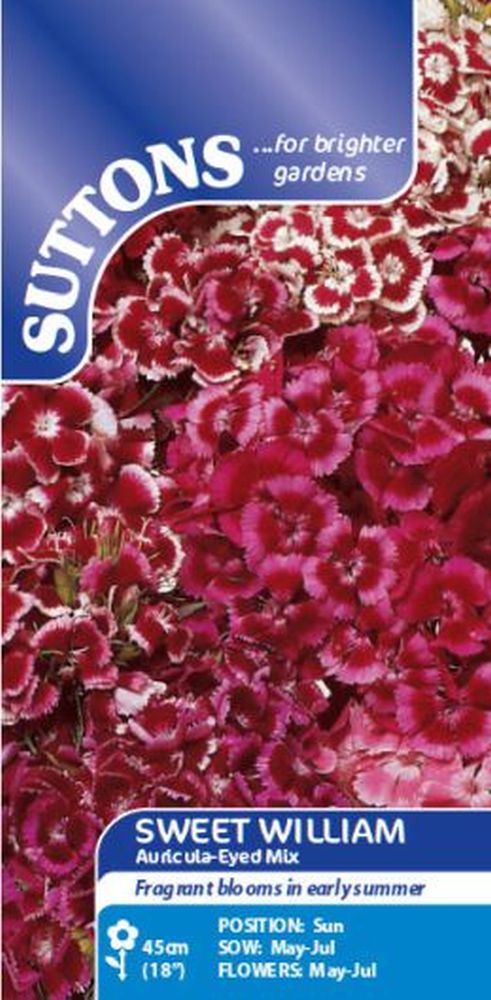 Sweet William Auricula-Eyed Mix