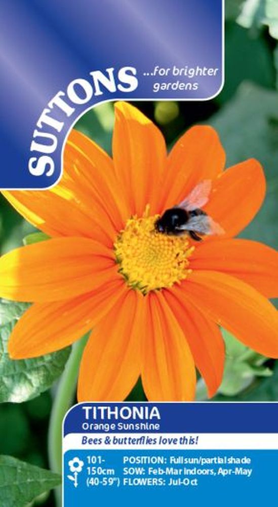 Tithonia Orange Sunshine