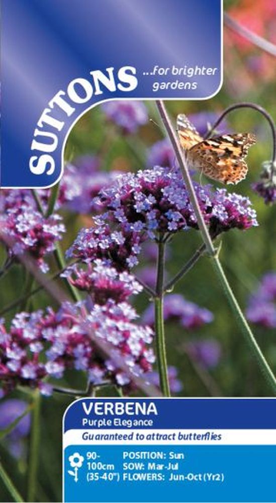 Verbena Bonariensis Seeds - Purple Elega