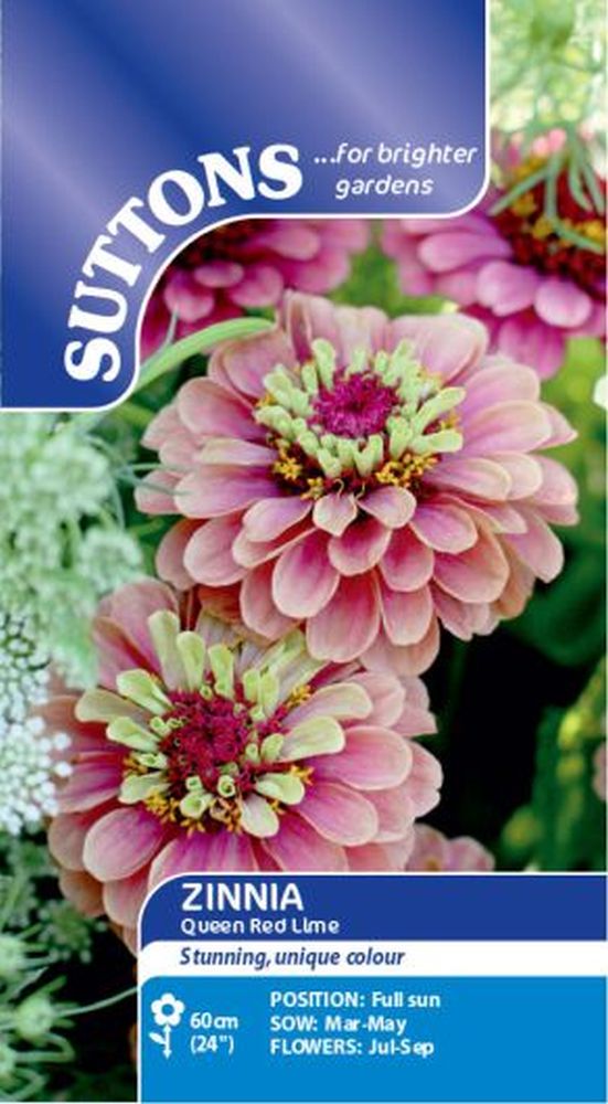 Zinnia Queen Red Lime