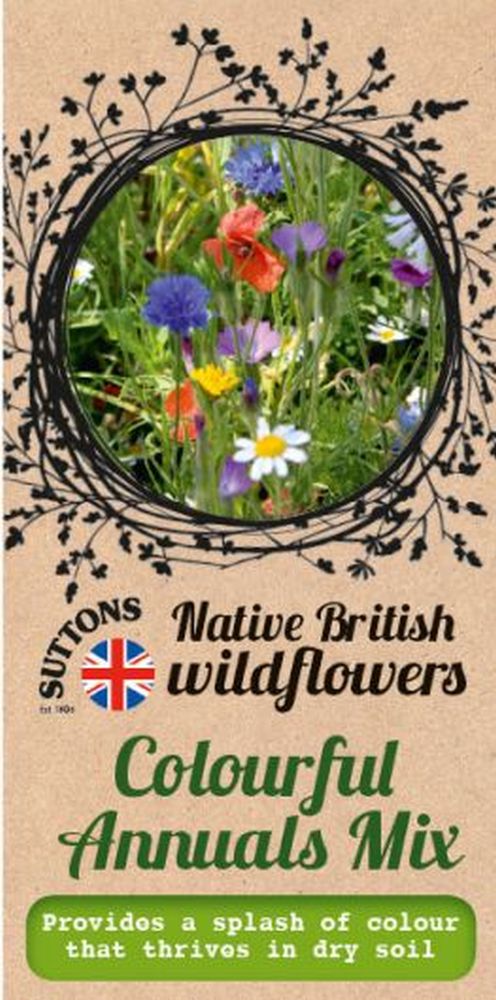 Colourful Annuals Mix