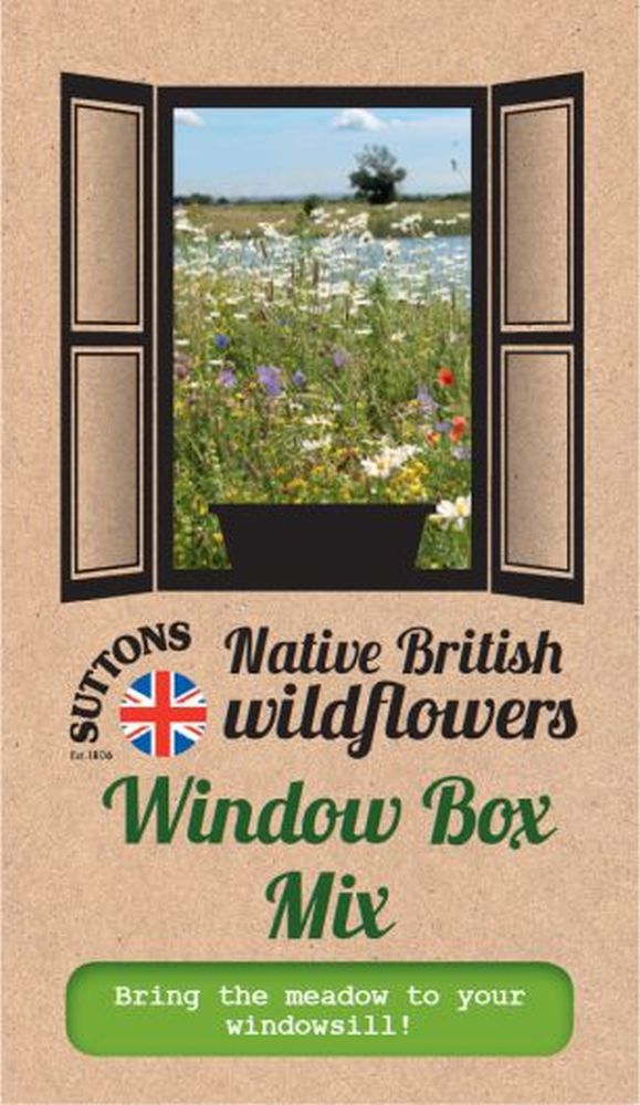 Native British Wildflower Mix Seeds - Wi
