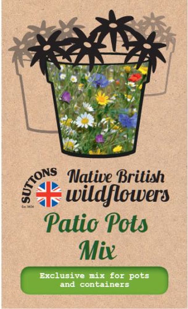 Native British Wildflower Mix Seeds - Pa