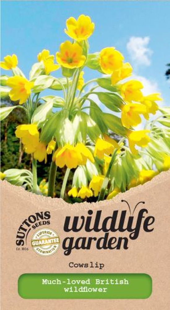 Cowslip - Wildflower
