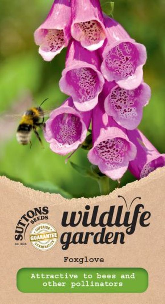 Foxglove - Wildflower