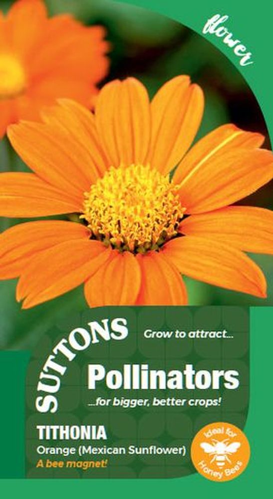 P & P - Tithonia Orange (mexican Sunflow
