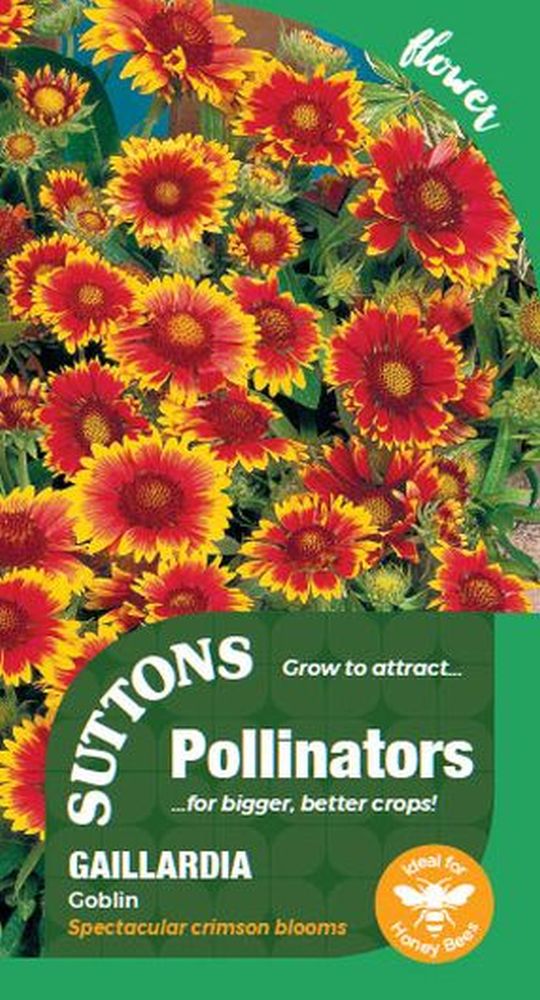 Gaillardia Seeds - Goblin