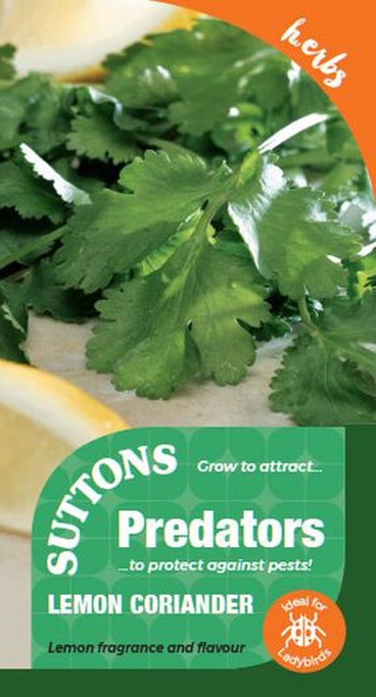 P & P - Lemon Coriander