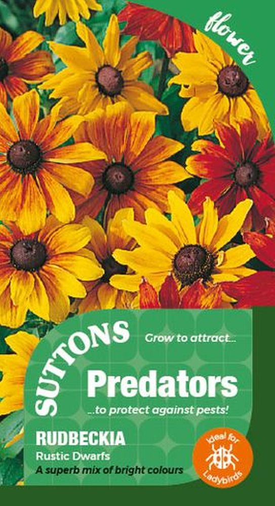 P & P - Rudbeckia Rustic Dwarfs