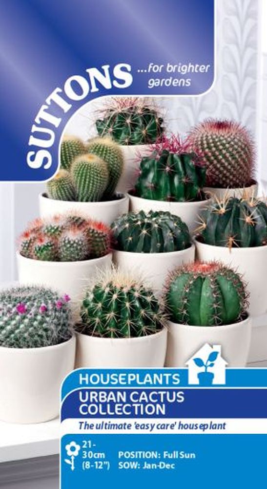 Houseplant Seeds - Urban Cactus Collecti