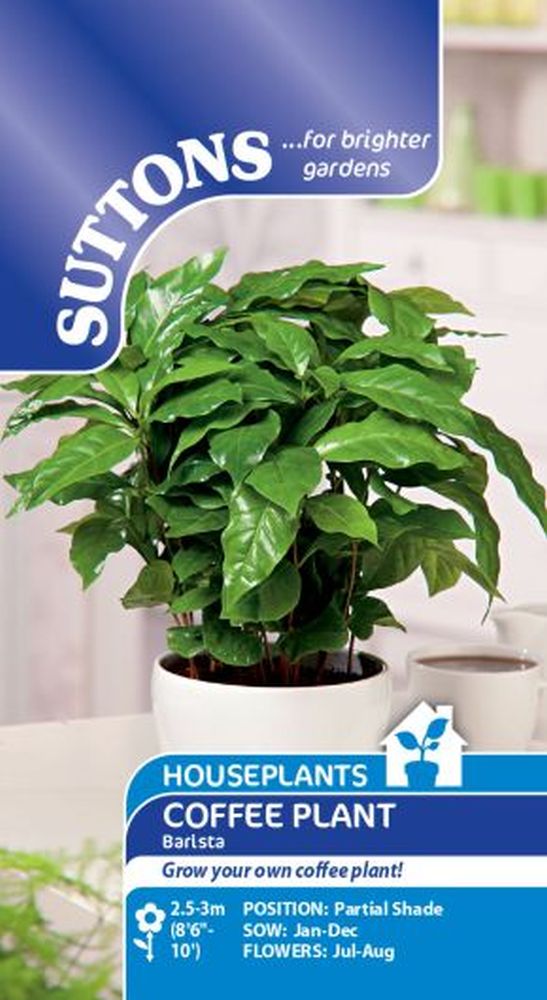 Houseplant Seeds - Barista