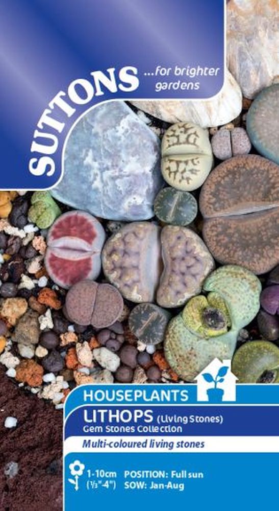 Houseplant Seeds - Lithops Living Stone